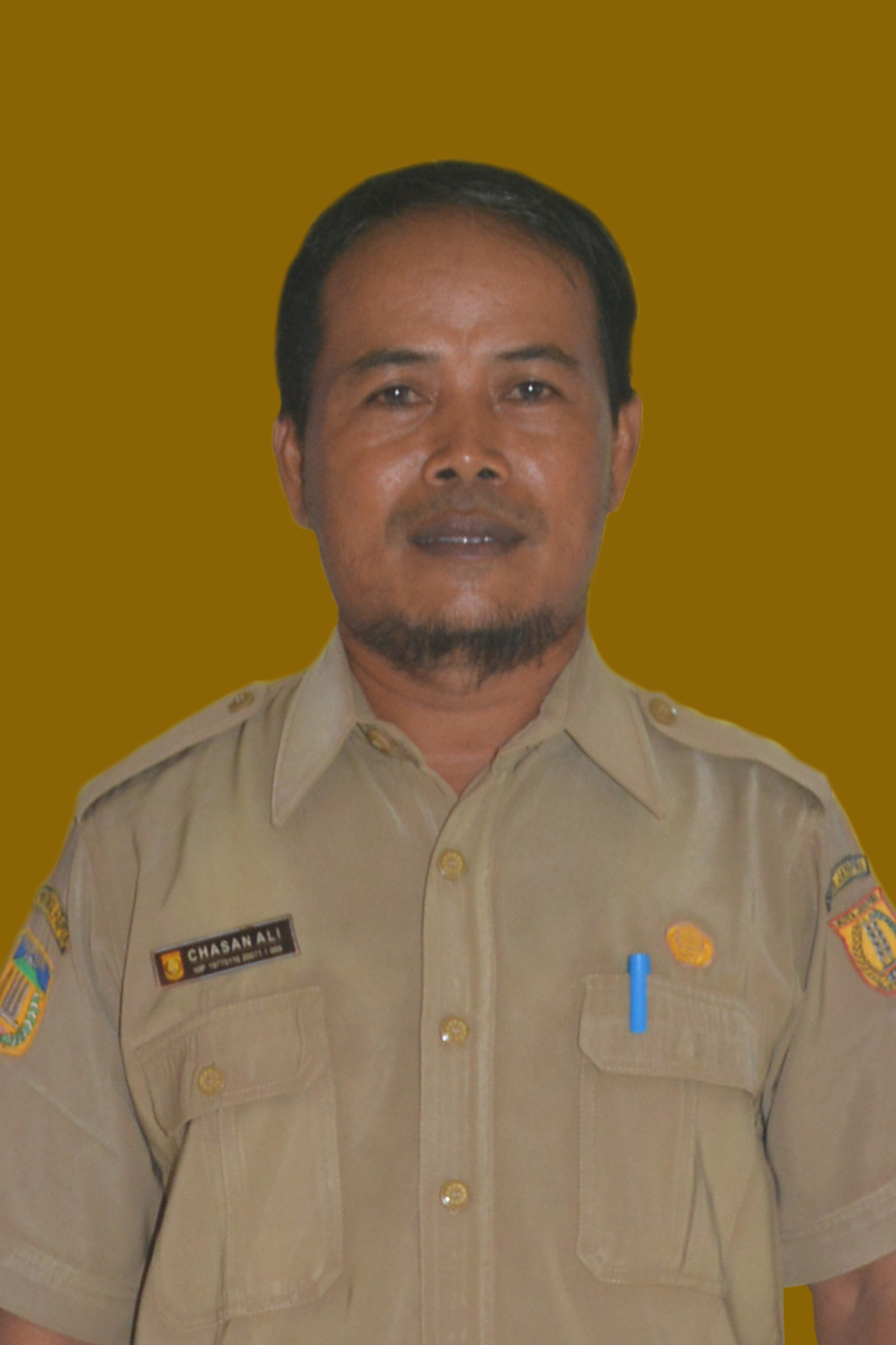 PELAKSANA SEKSI PEMERINTAHAN